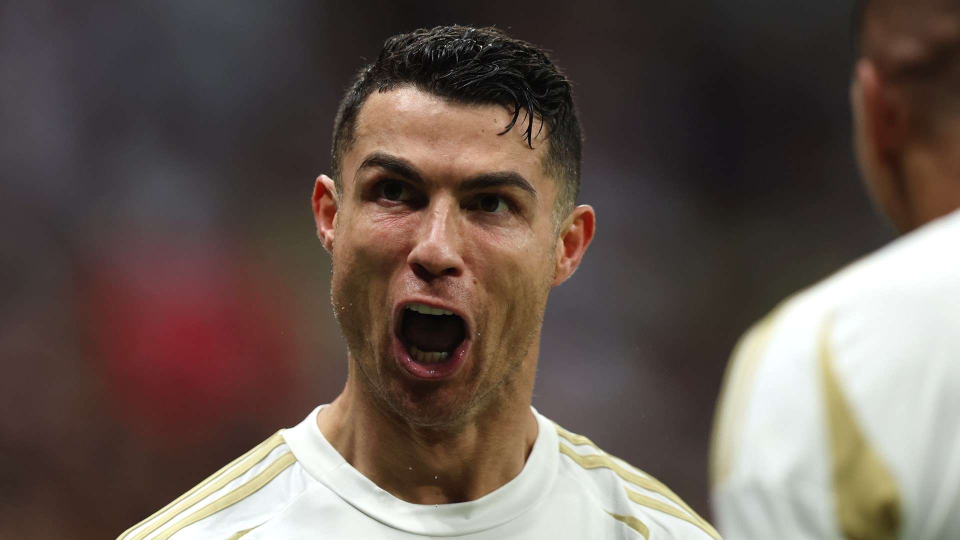 树立了良好 树立了良好