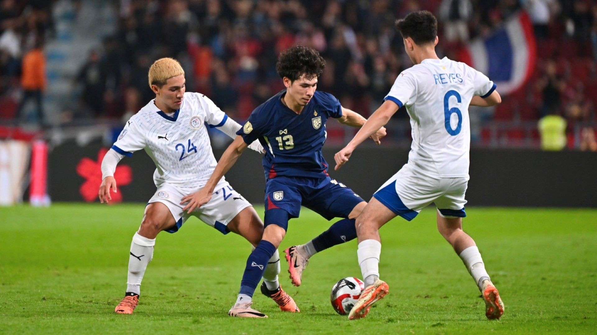 浙江队的胜 浙江队的胜