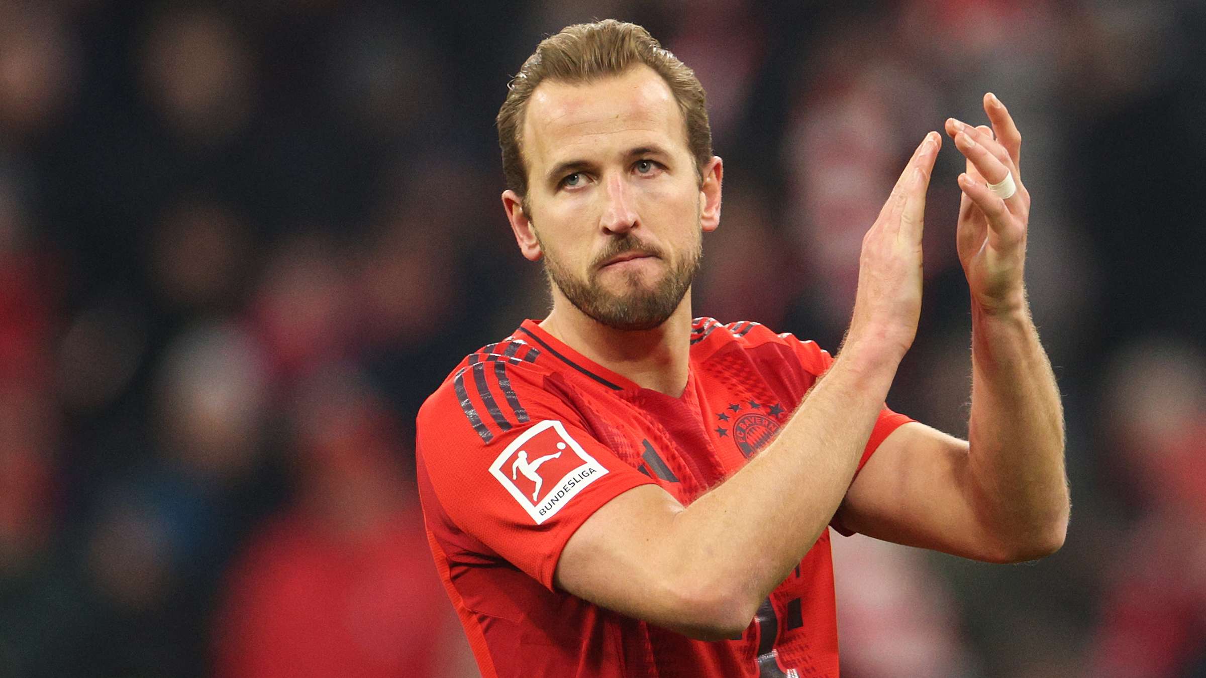 读者将更能 读者将更能