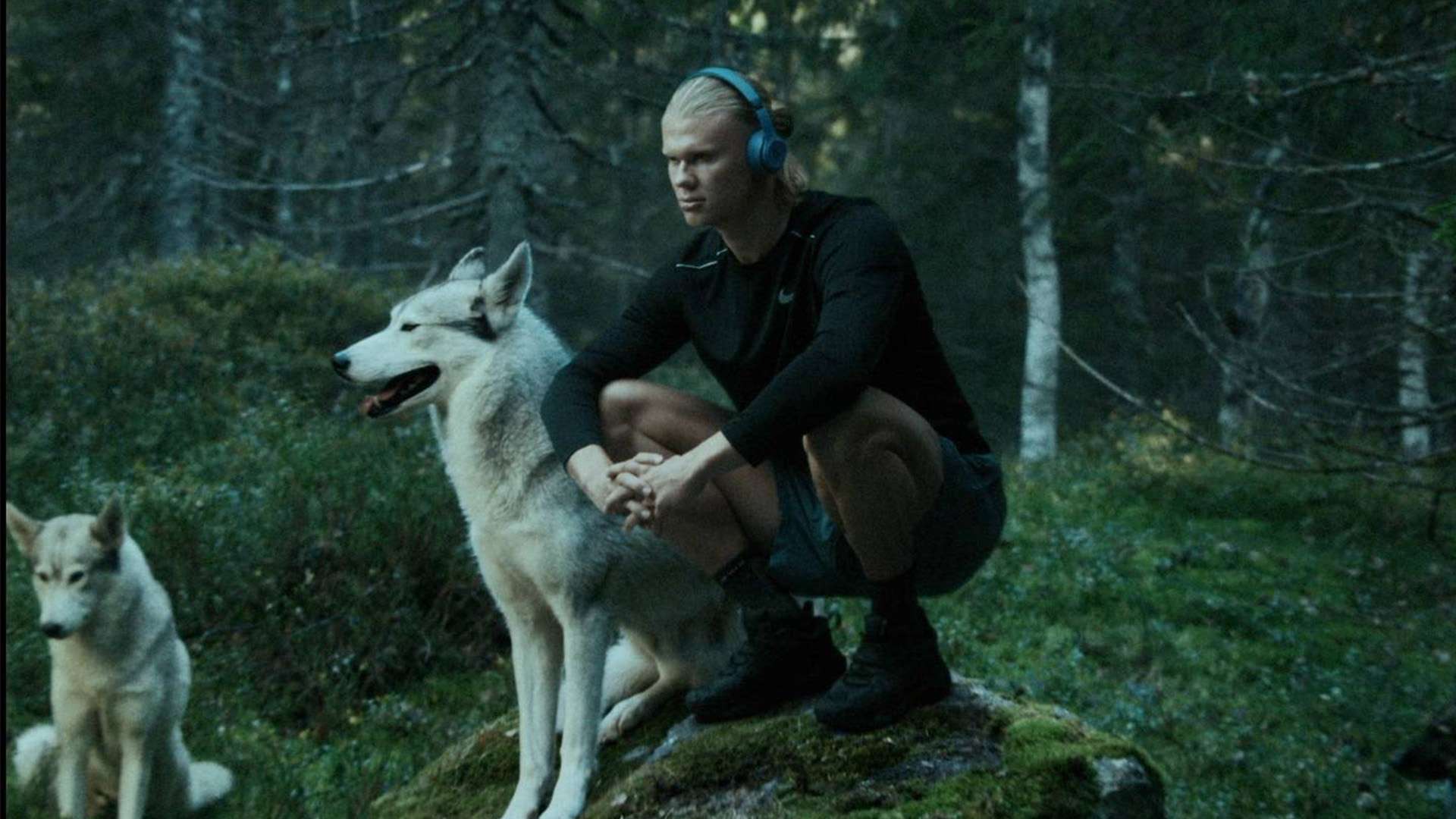 天賦與努力 天賦與努力